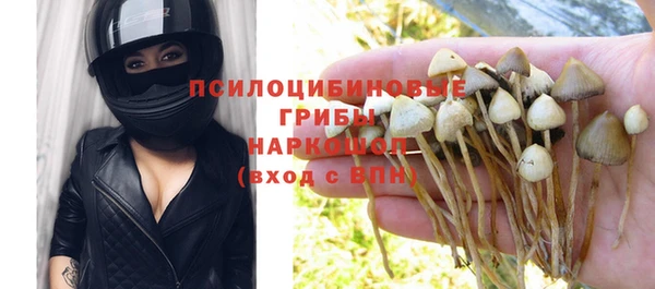ешки Алексеевка