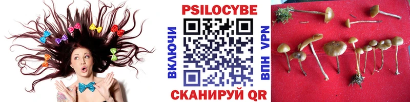 Галлюциногенные грибы MAGIC MUSHROOMS  даркнет сайт  кракен ССЫЛКА  Искитим 